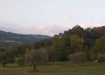 Terreno agricolo Strada Provinciale per Rocchette, Semproniano - foto 27