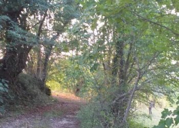 Terreno agricolo Strada Provinciale per Rocchette, Semproniano - foto 28