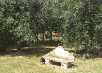 Casale Strada Vicinale della Peschiera, Manciano - foto 9