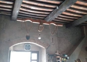 Casale Strada Vicinale della Peschiera, Manciano - foto 13