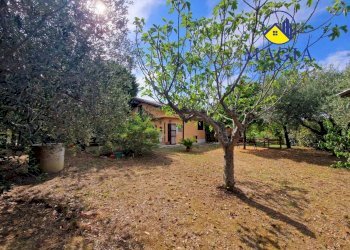 Foto 29 - Rustic Castorano - photo 29