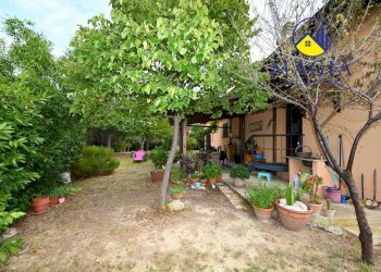 Foto 37 - Rustic Castorano - photo 37