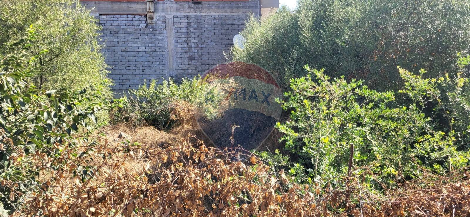 Giardino - Terreno edificabile Via Croazia
 
snc, Paterno - foto 1