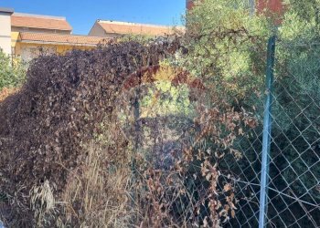 Edificio all\'aperto - Terreno edificabile Via Croazia
snc, Paterno - foto 3