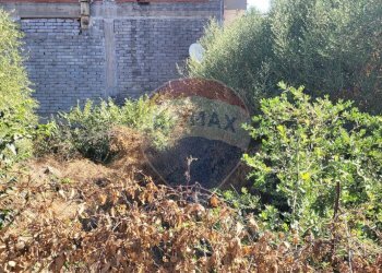 Giardino - Terreno edificabile Via Croazia
snc, Paterno - foto 4