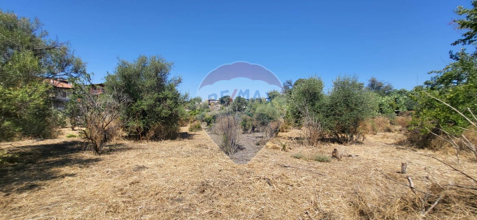 Giardino - Terreno edificabile Strada Statale 121 (SS.121)
snc, Paterno - foto 2