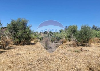 Giardino - Terreno edificabile Strada Statale 121 (SS.121)
snc, Paterno - foto 2