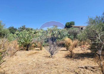 Giardino - Terreno edificabile Strada Statale 121 (SS.121)
snc, Paterno - foto 5