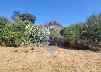 Giardino - Terreno edificabile Strada Statale 121 (SS.121)
snc, Paterno - foto 9