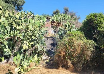 Giardino - Terreno edificabile Strada Statale 121 (SS.121)
snc, Paterno - foto 10