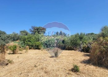 Giardino - Terreno edificabile Strada Statale 121 (SS.121)
snc, Paterno - foto 15