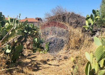 Giardino - Terreno edificabile Strada Statale 121 (SS.121)
snc, Paterno - foto 16