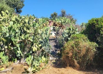 Giardino - Terreno edificabile Strada Statale 121 (SS.121)
snc, Paterno - foto 19