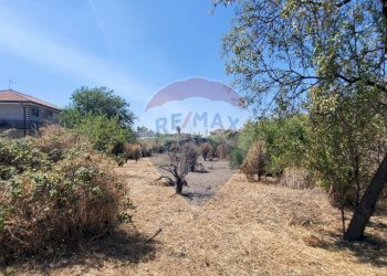 Giardino - Terreno edificabile Strada Statale 121 (SS.121)
snc, Paterno - foto 20