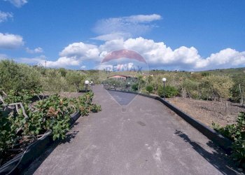 Vista delle montagne - Villa Contrada Grottitti
 
snc, Bronte - foto 13