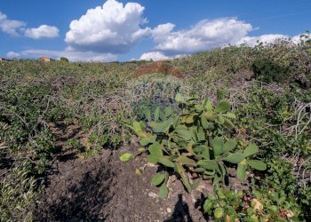 Vista delle montagne - Villa Contrada Grottitti
 
snc, Bronte - foto 27