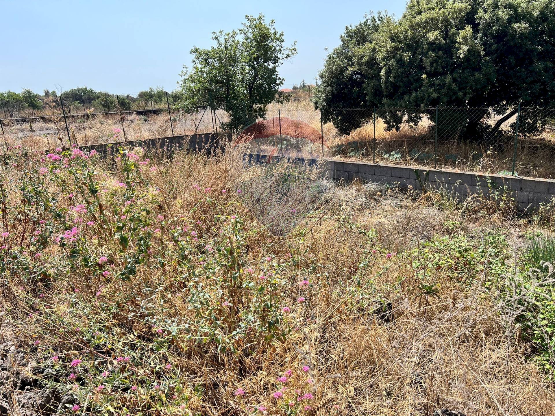 Giardino - Agricultural land Contrada Rocca dell'Estensione
 
snc, Ragalna - photo 3