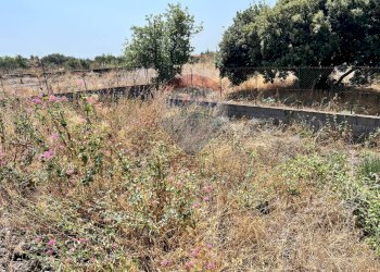 Giardino - Terreno agricolo Contrada Rocca dell'Estensione
 
snc, Ragalna - foto 3