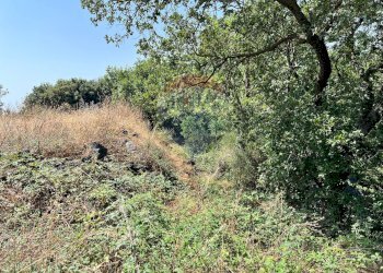 Giardino - Terreno agricolo Contrada Rocca dell'Estensione
 
snc, Ragalna - foto 5