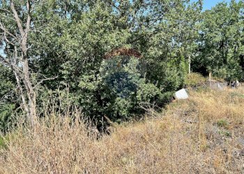Giardino - Terreno agricolo Contrada Rocca dell'Estensione
 
snc, Ragalna - foto 7