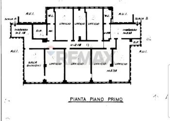 Pianta 2D - Ufficio Pesaro - foto 3