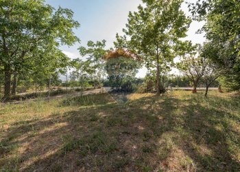 Giardino - Trilocale via rosciano, Belvedere Ostrense - foto 2