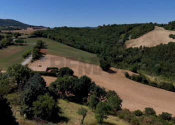 Vista delle montagne - Villa Frazione Costa
 
85, Arcevia - foto 29