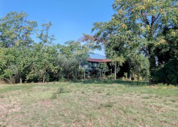 Giardino - Rustico contrada chiarino
 
29, Recanati - foto 13