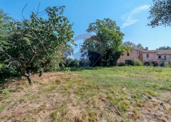 Giardino - Rustico contrada chiarino
 
29, Recanati - foto 16