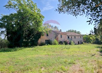 Giardino - Rustico contrada chiarino
 
29, Recanati - foto 17