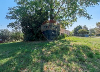 Giardino - Rustico contrada chiarino
 
29, Recanati - foto 24