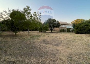 Giardino - Terreno edificabile Via Beata Lucia, Caltagirone - foto 3