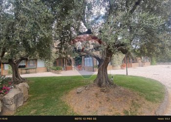 Giardino - Casa indipendente Contrada Carpine
 
SNC, Bovino - foto 6