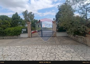 Non correlato - Casa indipendente Contrada Carpine
 
SNC, Bovino - foto 8