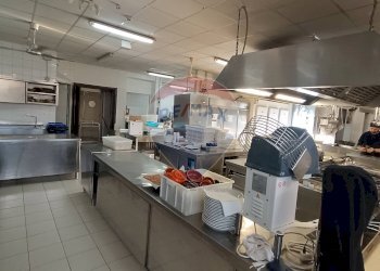 Cucina - Casa indipendente Contrada Carpine
 
SNC, Bovino - foto 46