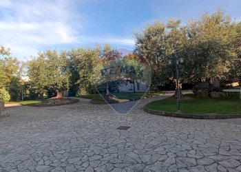 Non correlato - Casa indipendente Contrada Carpine
 
SNC, Bovino - foto 55