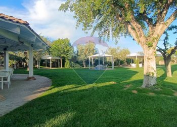 Giardino - Casa indipendente Contrada Carpine
 
SNC, Bovino - foto 62