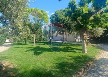 Giardino - Casa indipendente Contrada Carpine
 
SNC, Bovino - foto 77