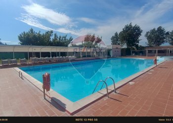 Piscina - Casa indipendente Contrada Carpine
 
SNC, Bovino - foto 90