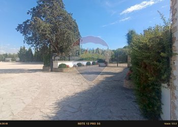 Non correlato - Casa indipendente Contrada Carpine
 
SNC, Bovino - foto 111