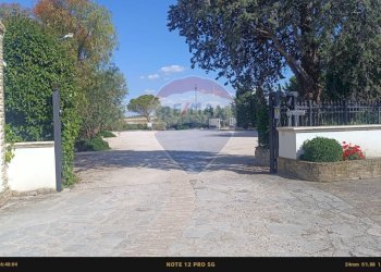 Non correlato - Casa indipendente Contrada Carpine
 
SNC, Bovino - foto 117