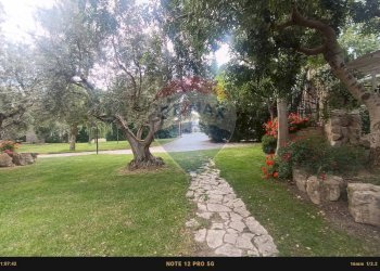 Giardino - Casa indipendente Contrada Carpine
 
SNC, Bovino - foto 123