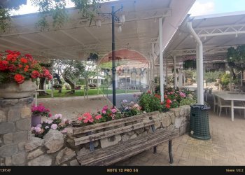 Giardino - Casa indipendente Contrada Carpine
 
SNC, Bovino - foto 124