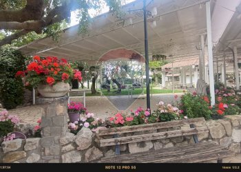 Giardino - Casa indipendente Contrada Carpine
 
SNC, Bovino - foto 126