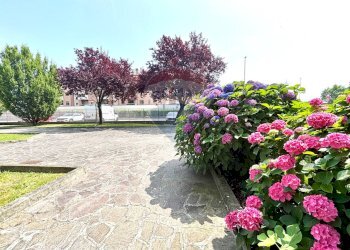 Giardino - One-room apartment Via Martin Luther king
 
1, Peschiera Borromeo - photo 12