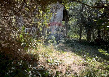 Giardino - Four-room apartment strada curagnata 7, Cairo Montenotte - photo 40