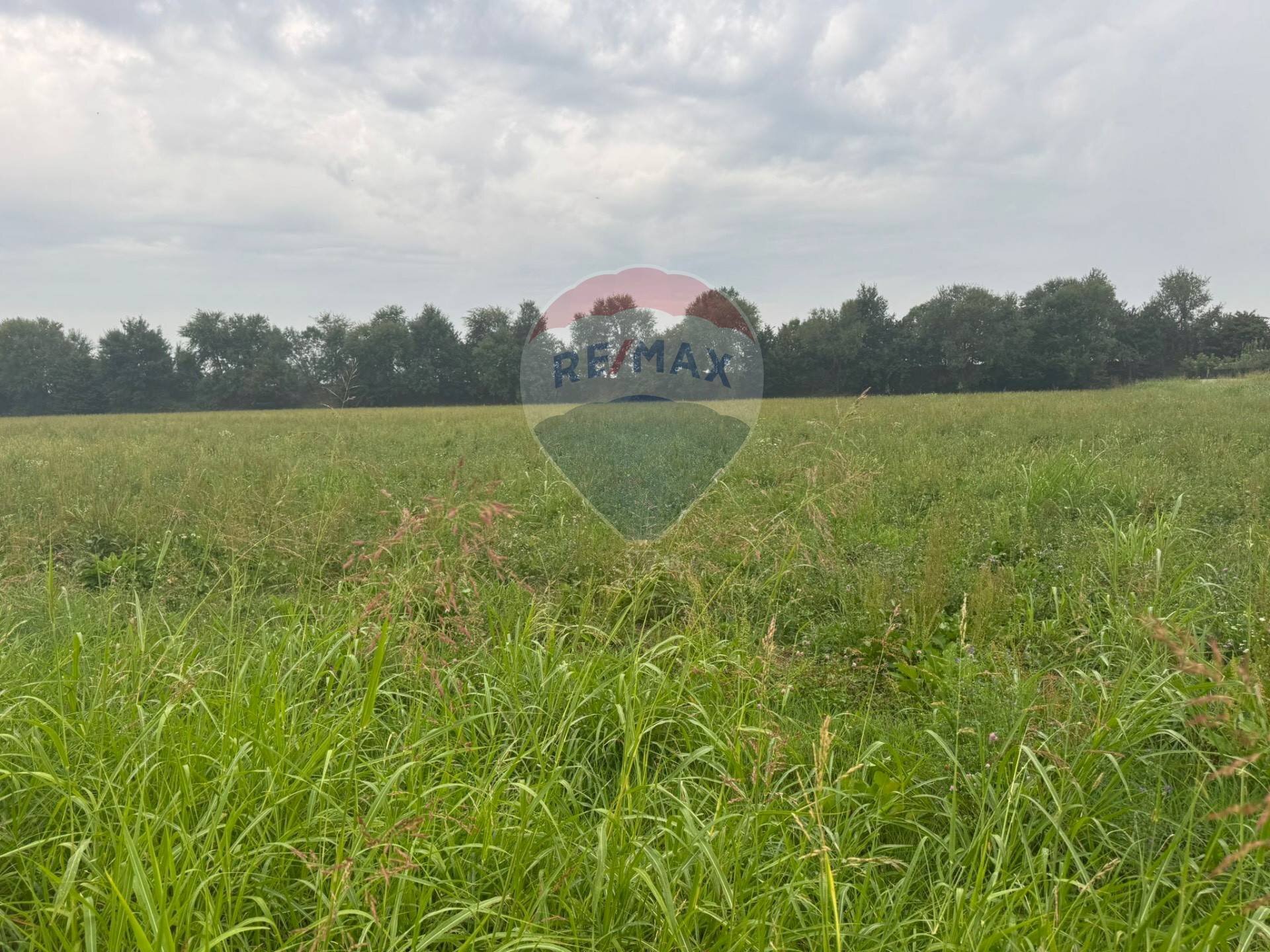 Giardino - Terreno agricolo STRADA PROVINCIALE FRANCESCA, Cologno al Serio - foto 1