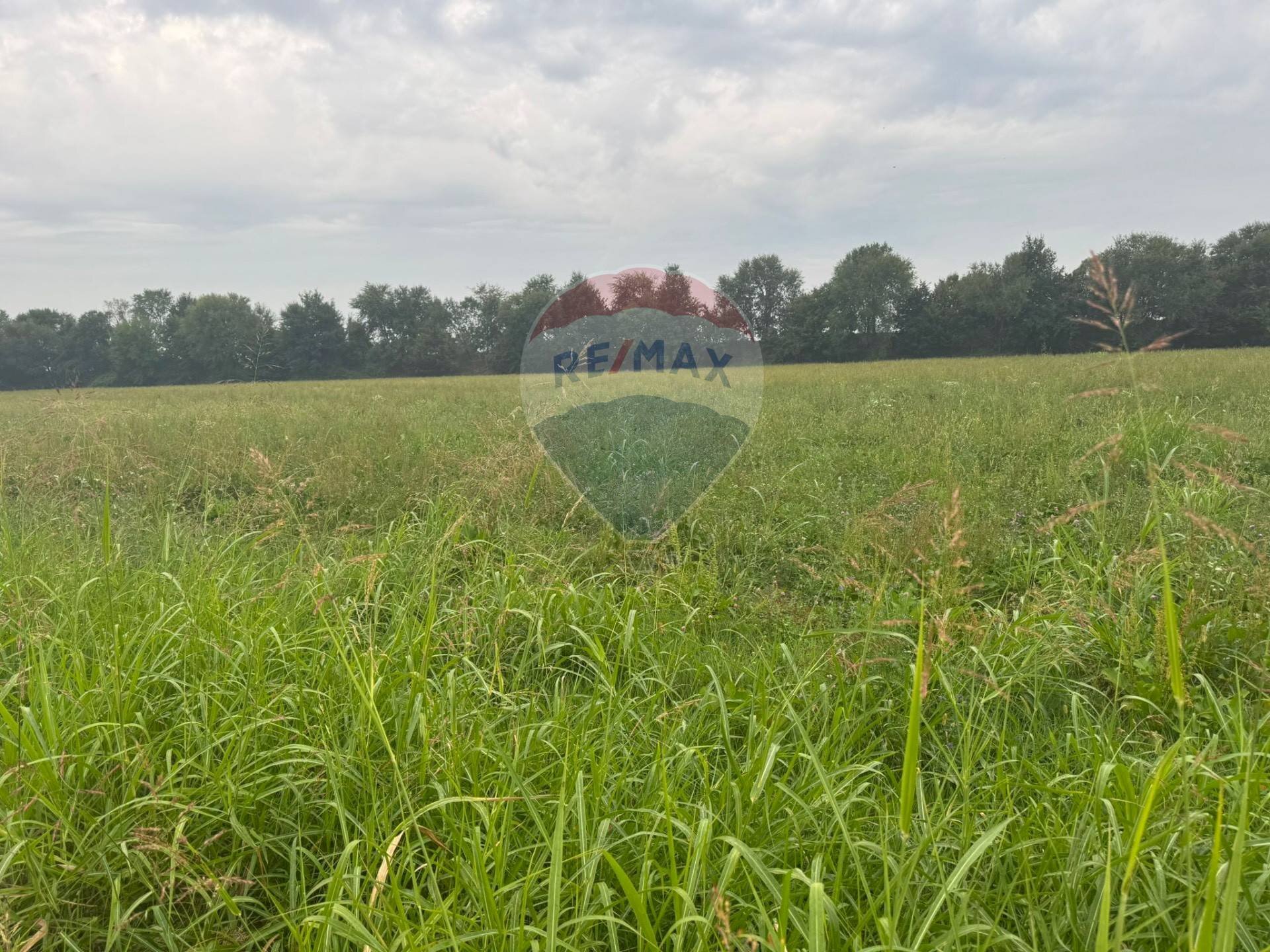Giardino - Terreno agricolo STRADA PROVINCIALE FRANCESCA, Cologno al Serio - foto 3