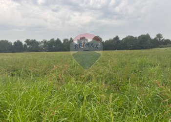 Giardino - Terreno agricolo STRADA PROVINCIALE FRANCESCA, Cologno al Serio - foto 1