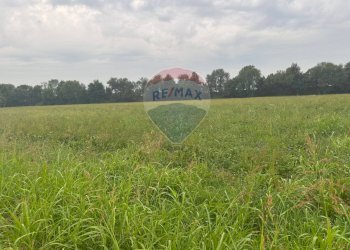 Giardino - Terreno agricolo STRADA PROVINCIALE FRANCESCA, Cologno al Serio - foto 2